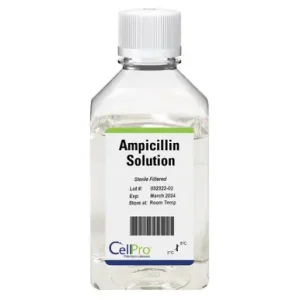 Ampicillin Solution 100mg/mL 10mL